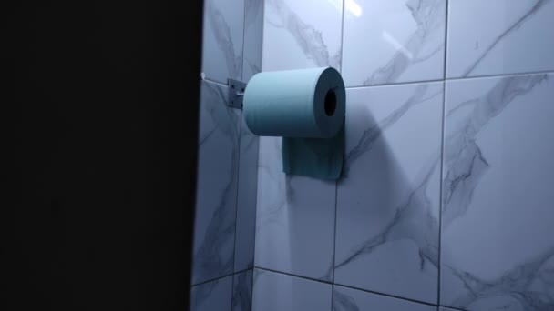 Roll Toilet Paper Restroom Paper Napkins Hands Restroom Interior Toilet — 图库视频影像