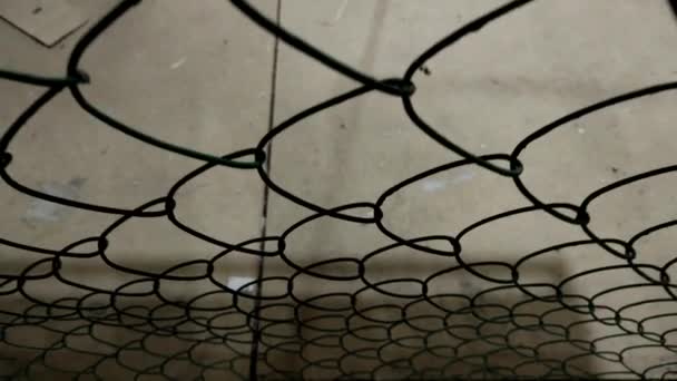 Camera Movement Top Bottom Metal Mesh Chain Link — Video Stock