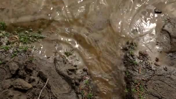 Une Vague Éclaboussures Eau Près Rive Une Rivière Lac Vue — Video