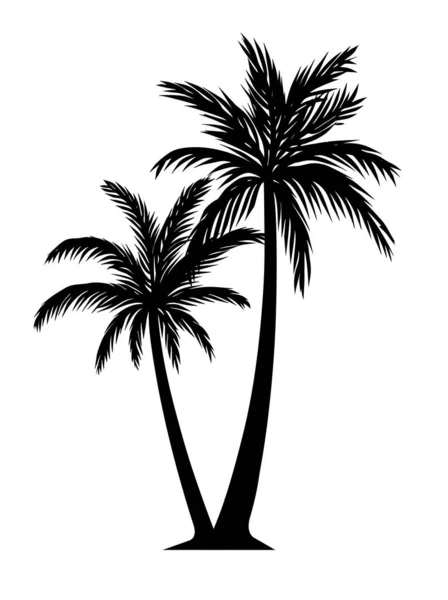 Palm Träd Siluett Detalj Illustration Svart Och Vitt — Stock vektor