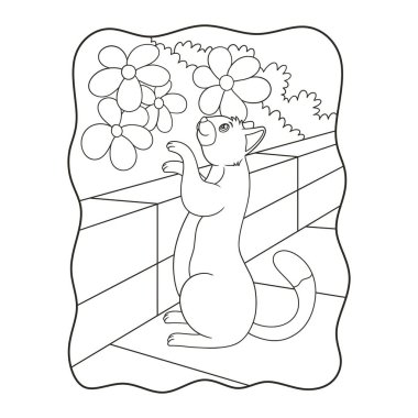 Çizgi film illüstrasyonu. Kedi yüksek duvarın arkasındaki çiçeğe bakıyor ve dokunuyor. Siyah beyaz çocuklar için.