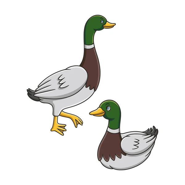 Cartoon Illustration Duck Walking River Swimming River — Stock Vector