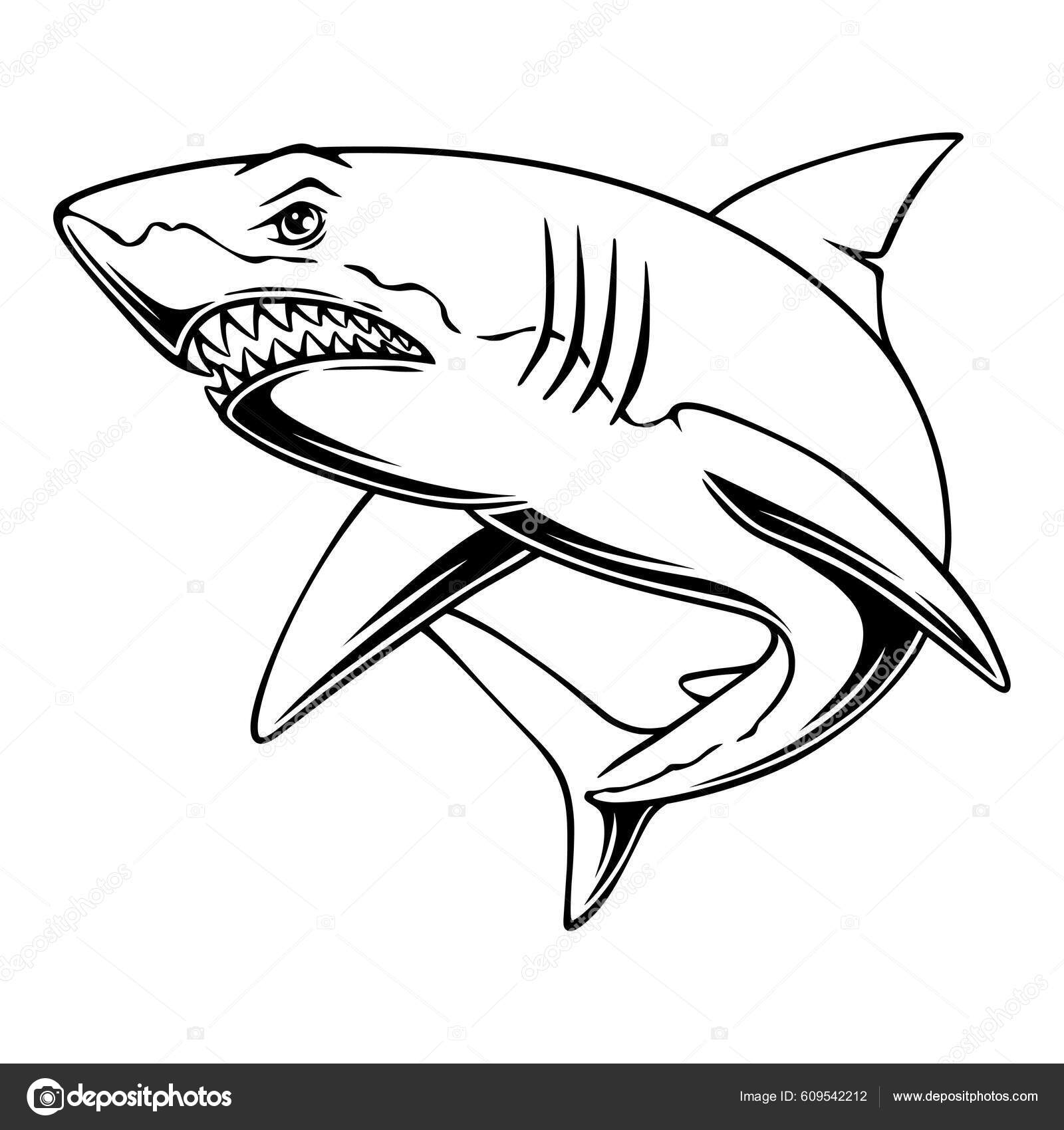 猎食位置为黑白图案的鲨鱼图库矢量图©Imoogigraphic 609542212