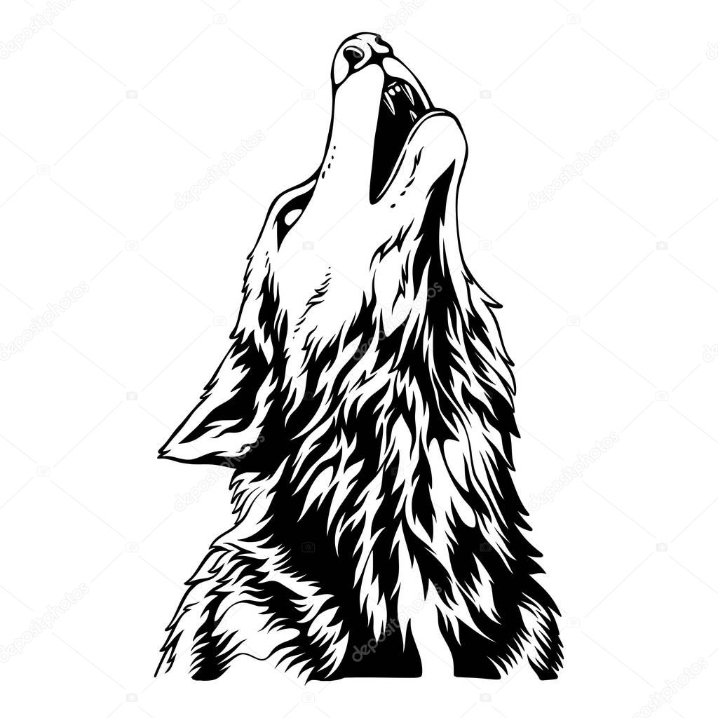 Vector illustration The head of the wolf with the position facing the sky to roar black and white design
