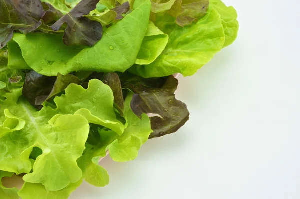 Groene salade vegetarische op roze dienblad geïsoleerd met witte achtergrond — Stockfoto