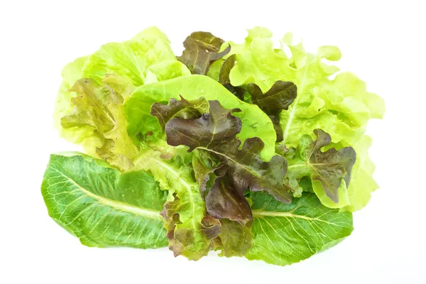 Sallad Vegetarisk på rosa bricka isolerad med vit bakgrund — Stockfoto