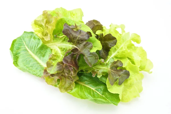 Salade vegetarische op roze dienblad geïsoleerd — Stockfoto