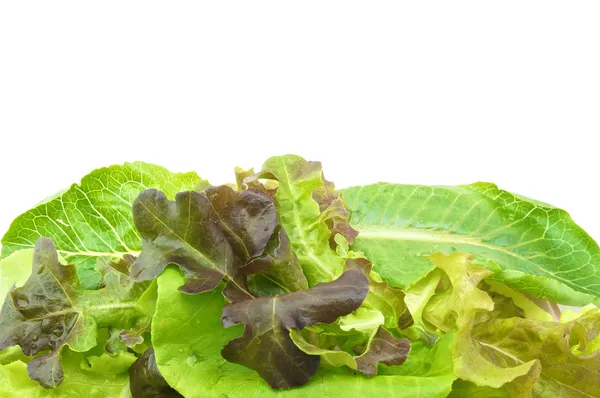Salade vegetarische op roze dienblad — Stockfoto