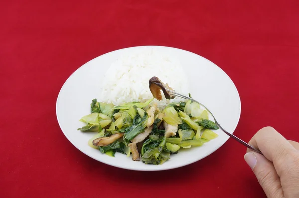 Comer brassica vegetariana frita con arroz sobre un fondo rojo — Foto de Stock