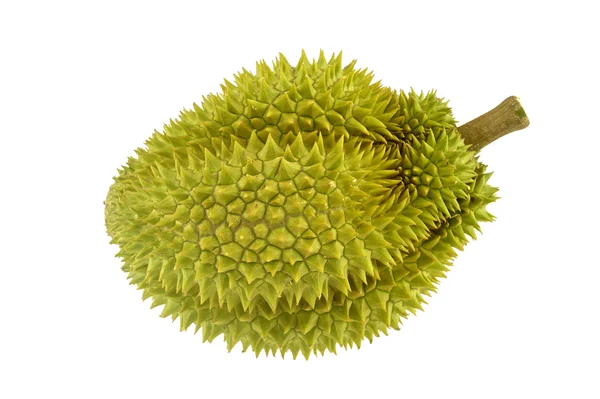 Durian ripe with green bark and spikes isolated — Stock Photo, Image