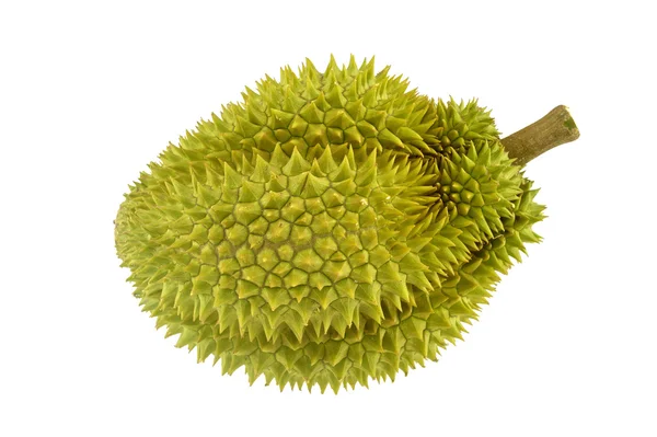 Durian maturo con corteccia verde e picchi isolati — Foto Stock