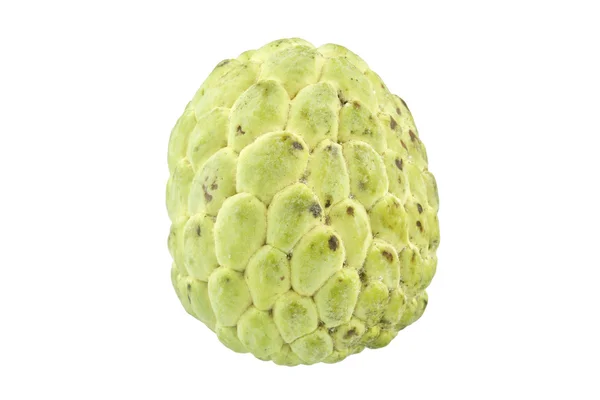 Custard apple sweet fruit as oval isolated — Stock Photo, Image