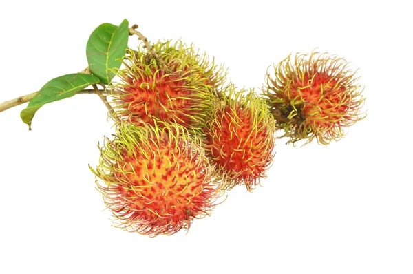 Rambutan sweet fruit isolated — Stock Photo, Image