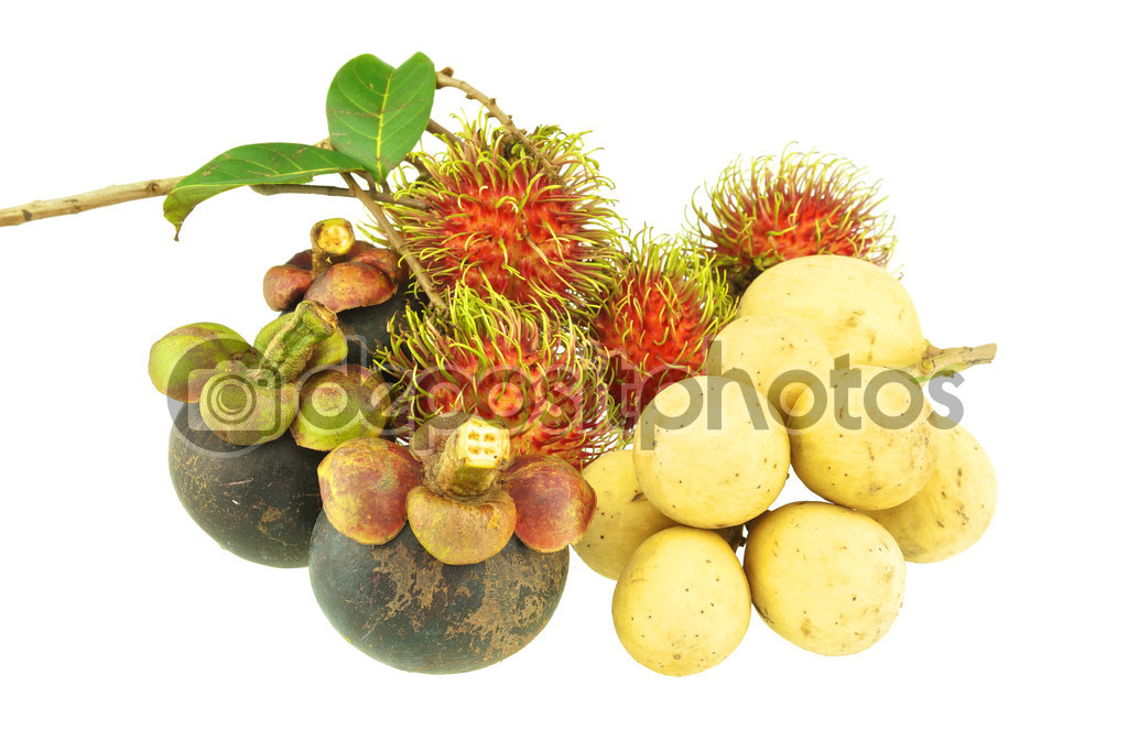 Longkong rambutan and mangosteen sweet fruit isolated — Stock Photo