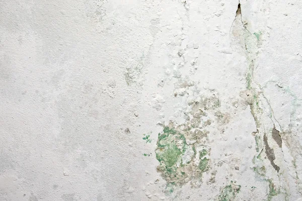旧水泥墙上的剥落油漆和苔藓 — 图库照片