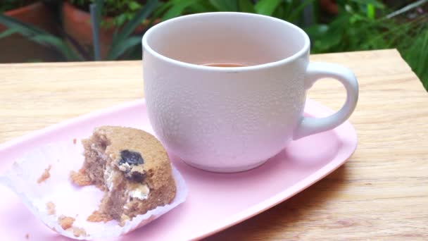 Kuchen essen mit Tee im Garten-Zeitraffer — Stockvideo