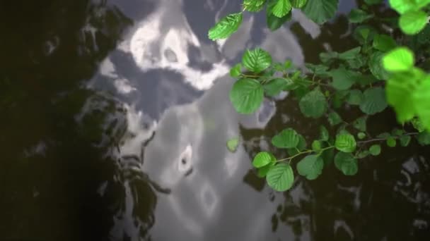 Reflektionen av sommarhimlen i floden med en trädgren i närheten — Stockvideo