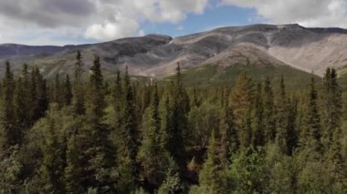 Güneşli bir günde Khibiny dağlarının önündeki yüksek ormanlık arazinin en üst görüntüsü.