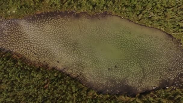 Pandangan atas dari danau yang terlihat stagnan di tengah hutan di Khibiny — Stok Video