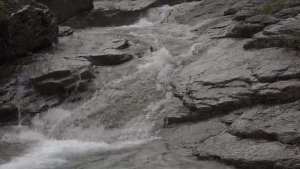 A mountain stream of pure clean water moving between stones in the Khibiny — Stock Video