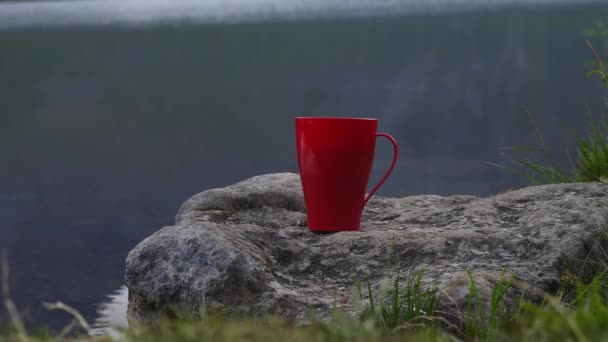 Close up hete koffie kopje of thee met dampende rook op prachtige ochtend natuur uitzicht achtergrond, kopieer ruimte. — Stockvideo