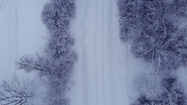 Estrada de ferro coberta de neve na floresta — Vídeo de Stock