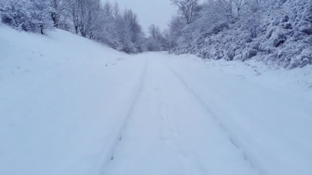 森の中の雪に覆われた鉄道 — ストック動画