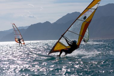 Three windsurfers clipart