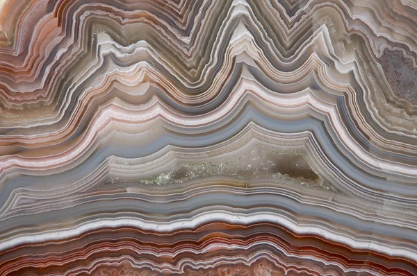 The polished cut of agate — Stock Photo, Image