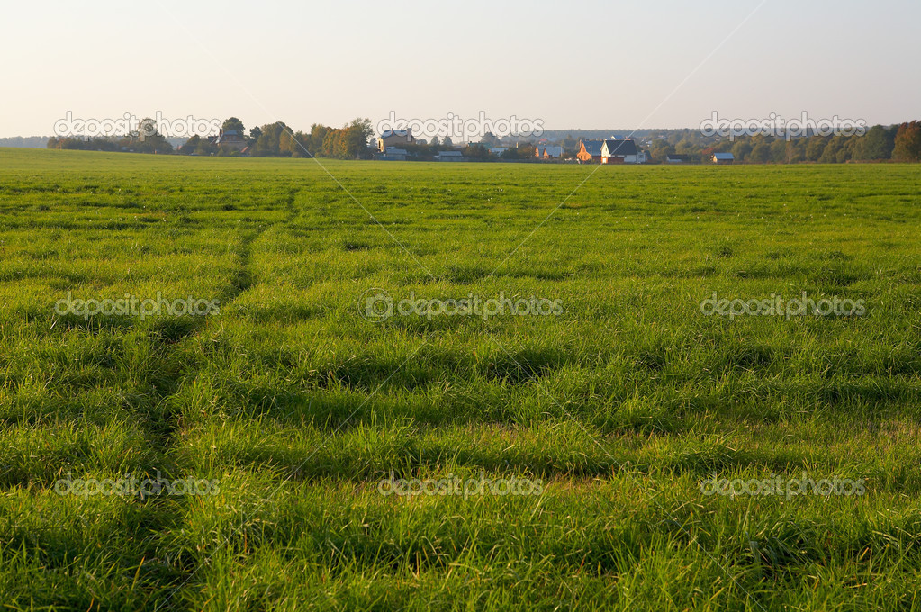 Footpath through a grassy meadow to distant houses