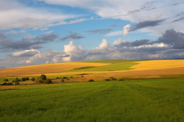 gökyüzü ve bulutlar sarı yeşil alanlar
