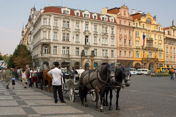 Две лошади и носильщик на Старой площади — стоковое фото