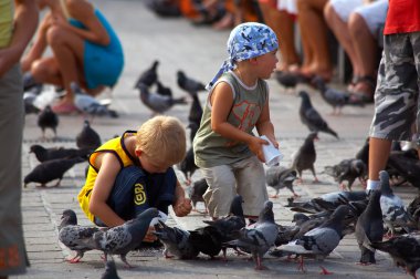 діти годувати голубів
