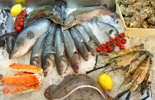 Frutti di mare su ghiaccio — Foto Stock