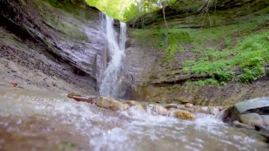 Yaz ormanındaki güzel şelale manzarası