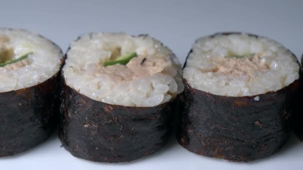 Frisches Sushi Auf Studio Hintergrundmaterial — Stockvideo