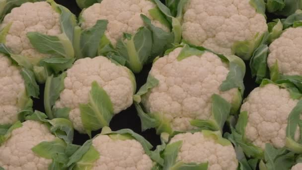 Fresh Cauliflower Vegetables Market — Stockvideo