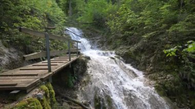 Güzel dağ şelale orman