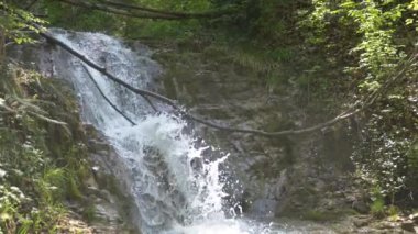 Güzel dağ şelale orman