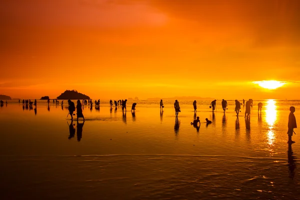 Trang tramonto — Foto Stock