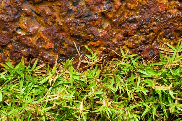 Piedra marrón y hierba verde —  Fotos de Stock