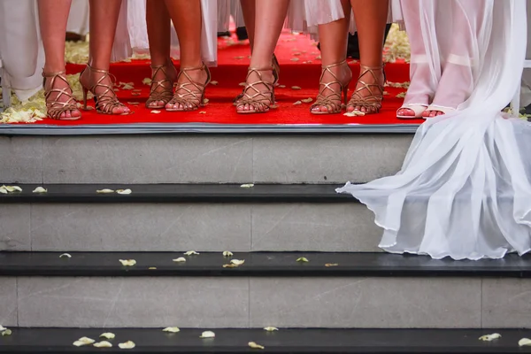 Novia con damas de honor — Foto de Stock