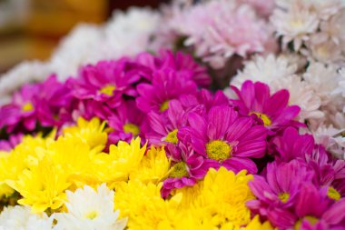 set up düğün çiçekleri