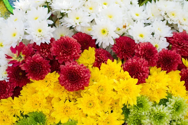 Flowers wedding set up — Stock Photo, Image