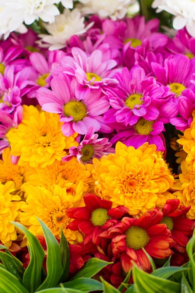 Blommor bröllop som upp — Stockfoto