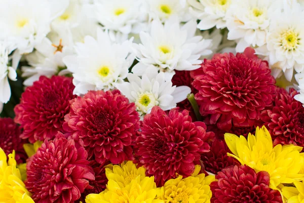 Blommor bröllop som upp — Stockfoto