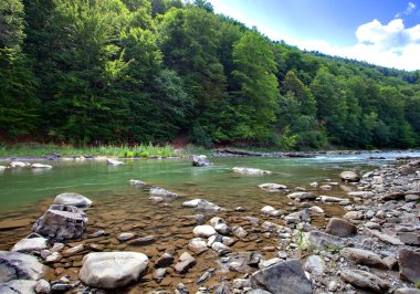 berglandschap met rivier bos en bomen