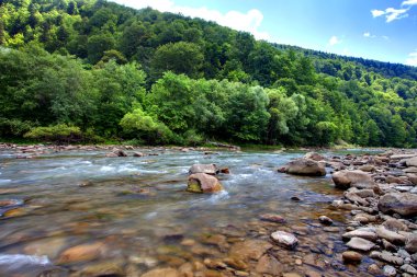 berglandschap met rivier bos en bomen