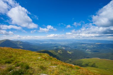 Orman ve ağaçlarla kaplı dağ manzarası