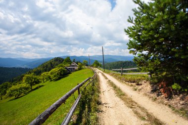 Orman ve ağaçlarla kaplı dağ manzarası